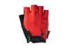 Specialized Men's Body Geometry Dual-Gel Short Finger Gloves M Red
